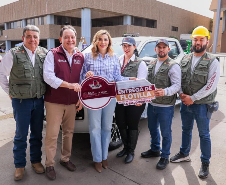 Breves de los estados