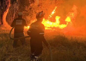 Incendios forestales devastan 13 mil hectáreas en Oaxaca
