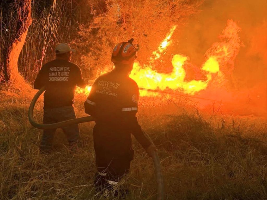 Breves de los Estados del 17 de febrero