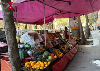 Empleos informales, los que más crecen en el país, revela INEGI