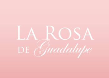 "La Rosa de Guadalupe" cumple 19 años al aire y celebra su impacto en México y el mundo