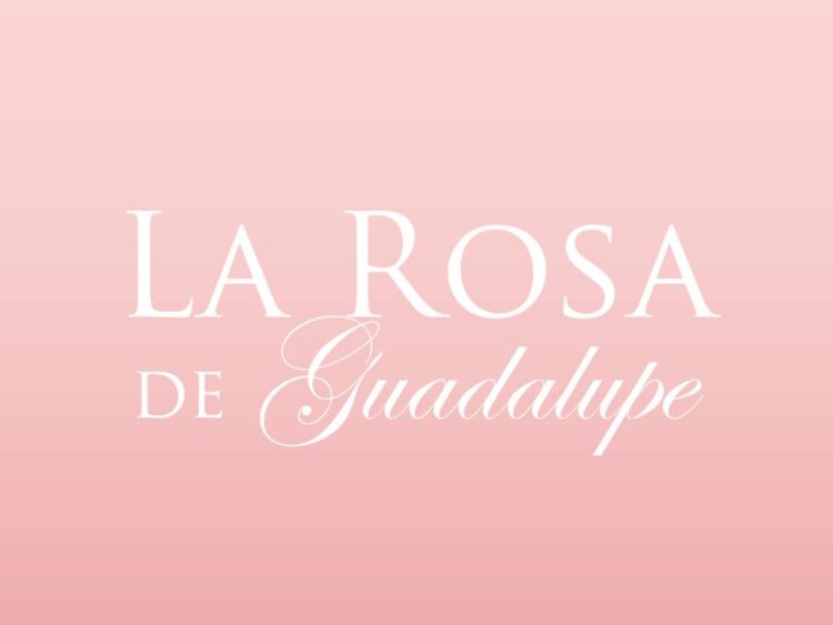 "La Rosa de Guadalupe" cumple 19 años al aire y celebra su impacto en México y el mundo