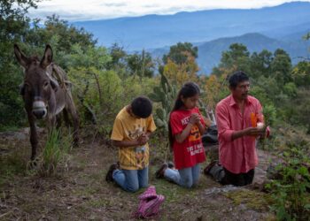 La raya, de la directora Yolanda Cruz, llega a la Cineteca Nacional