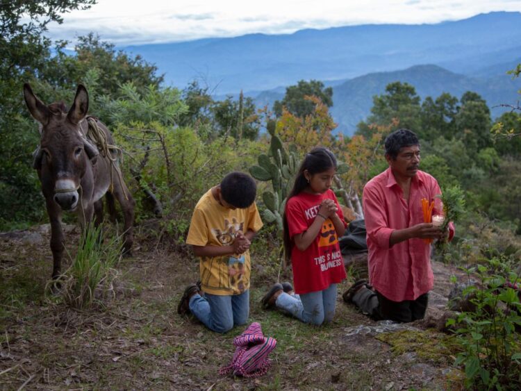 La raya, de la directora Yolanda Cruz, llega a la Cineteca Nacional