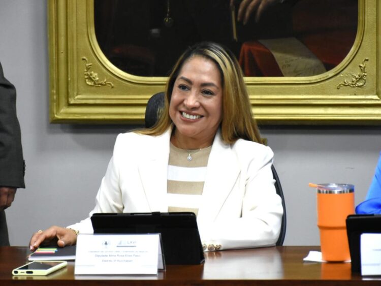 María Guadalupe Cruz niega fraude tras retomar su curul