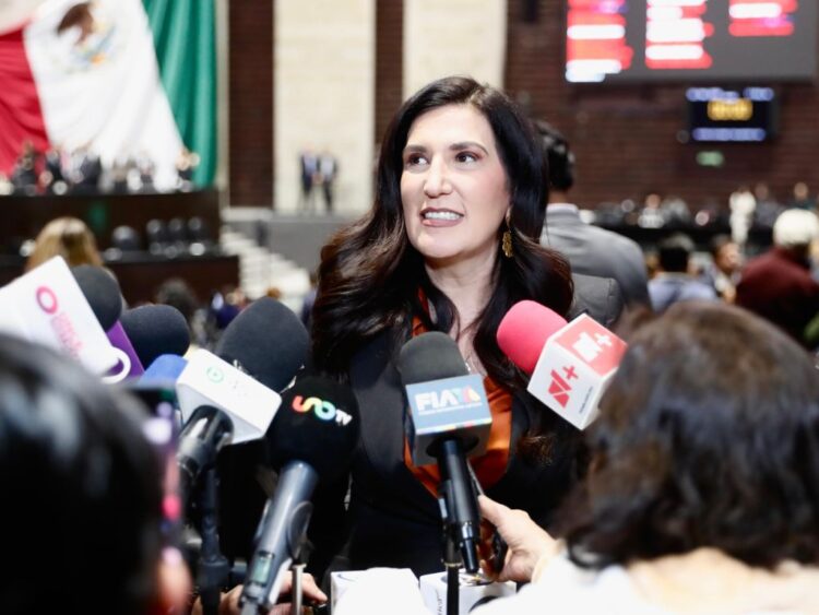 México debe priorizar el T-MEC López Rabadán