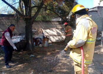 Breves de los estados