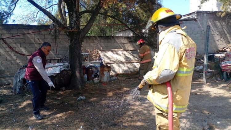 Breves de los estados