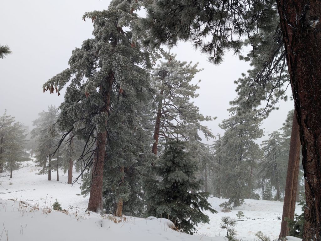 Nevada cubre sierras de Ensenada