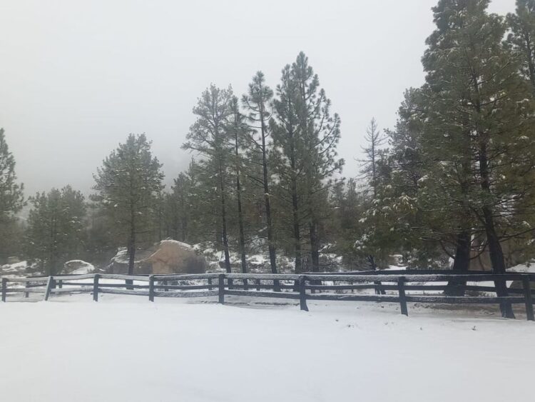 Nevada cubre sierras de Ensenada