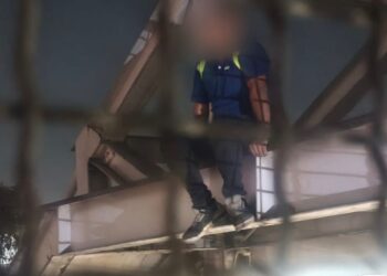 Breves de los Estados