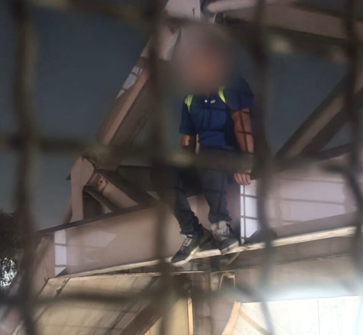 Breves de los Estados