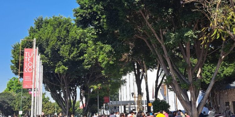 Primer simulacro de sismo 2026