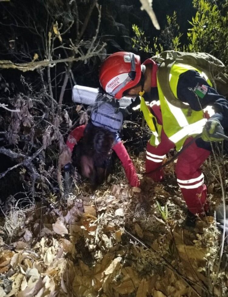 Teotitlán del Valle