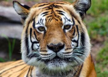 Tres noticias sobre naturaleza marcan a Colombia