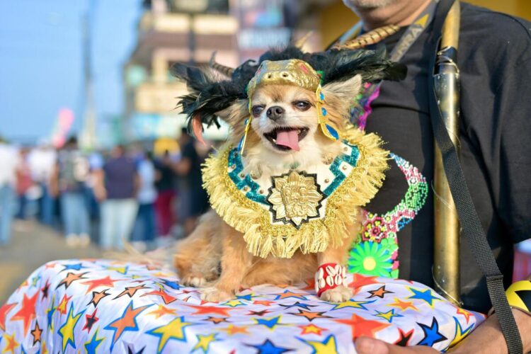 Una familia convive con su perro en casa, reflejando el papel que los animales de compañía desempeñan como integrantes del hogar y de las familias multiespecie.