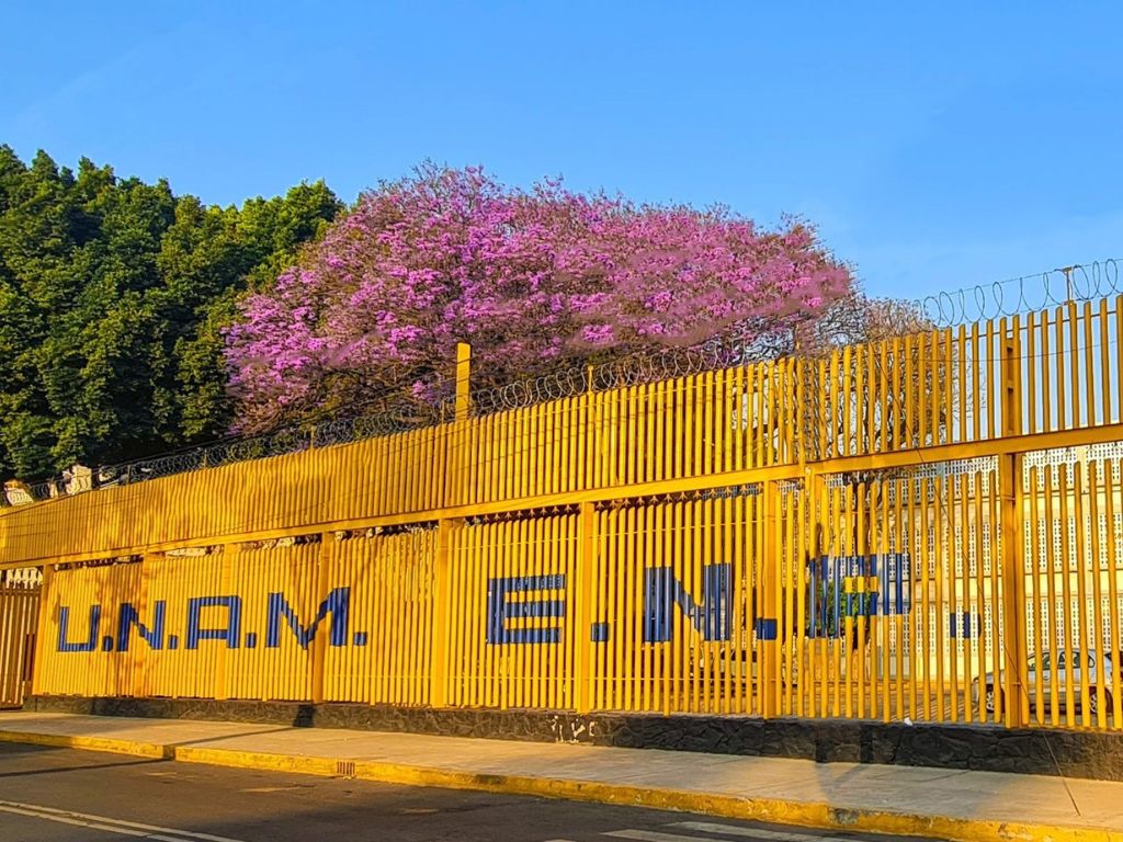 Vital para la UNAM el bachillerato