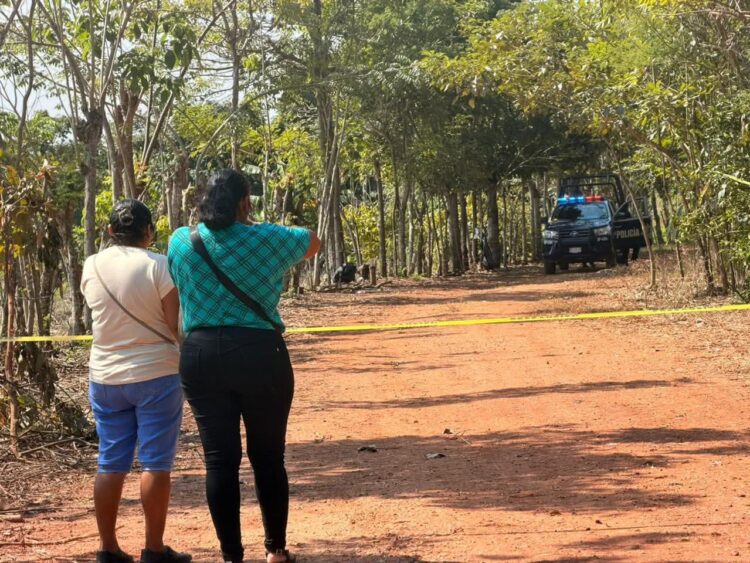 Predio Cocuital: el sitio de los hallazgos