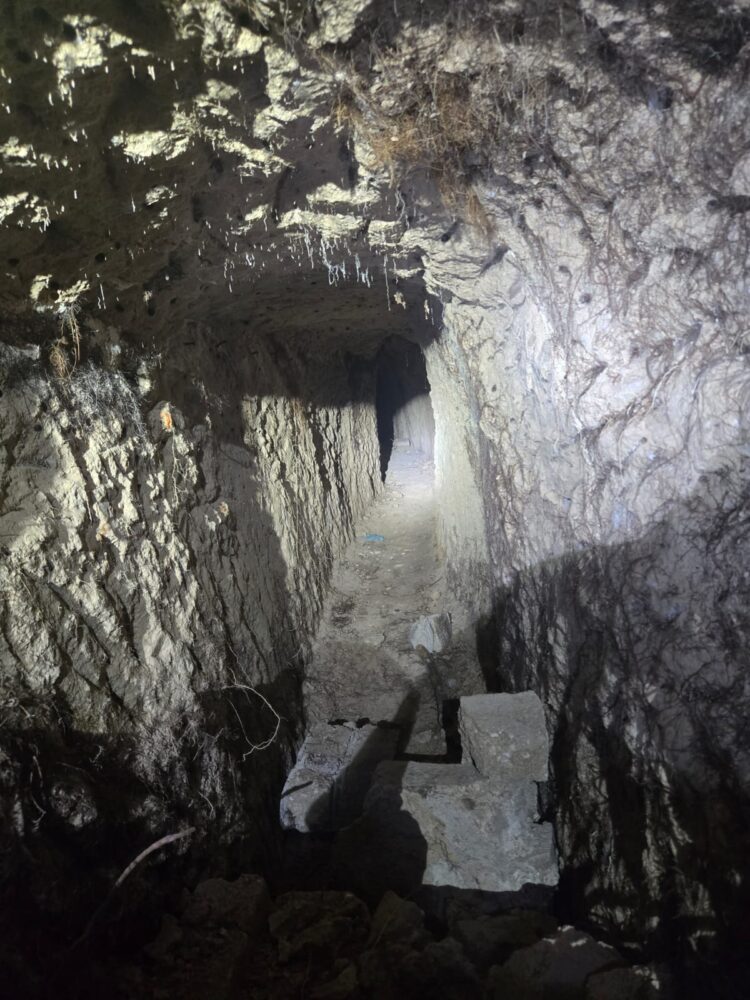 Este hallazgo representa el primer narcotúnel del año en la entidad.