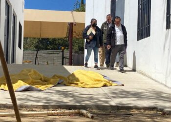 Breves de los Estados