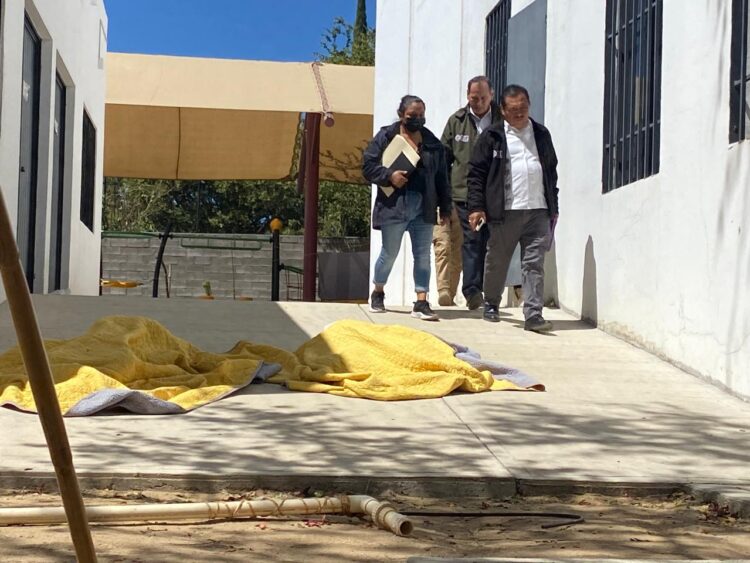 Breves de los Estados