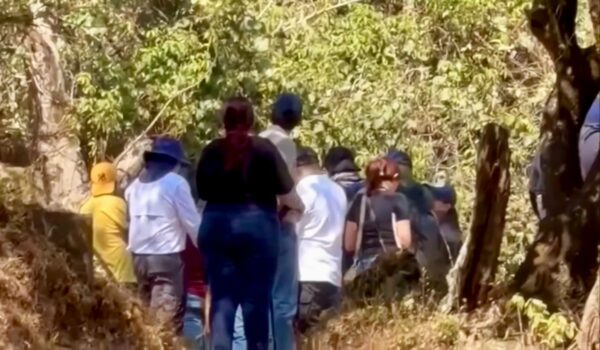 Operativo en zona boscosa universitaria