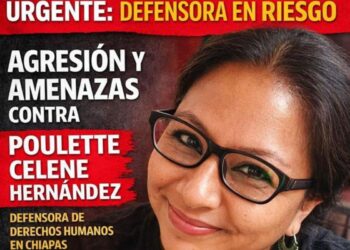 Exigen en Chiapas garantizar la seguridad de defensora de derechos humanos