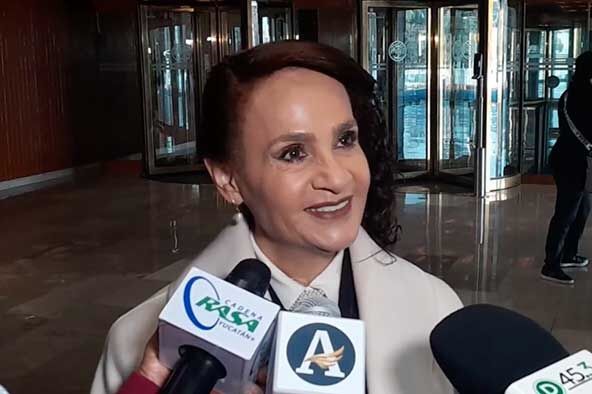 Diputad de Morena, Dolore sPadierna