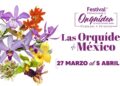 Coatepec será sede del Festival Internacional de la Orquídea 2026