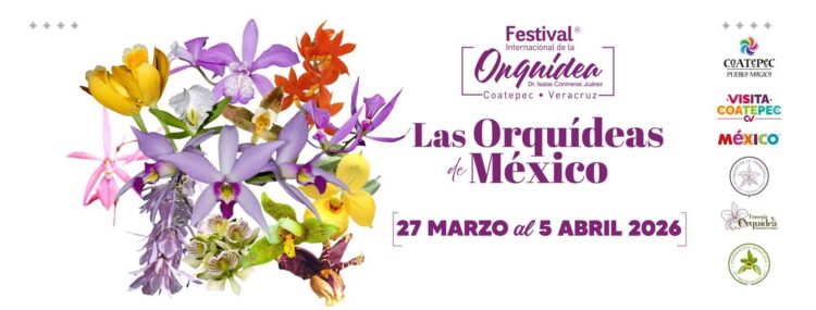 Coatepec será sede del Festival Internacional de la Orquídea 2026