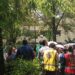 Primer simulacro nacional 2026 gente en la calle de Sullivan, Ciudad de México, en simulacro sísmico
