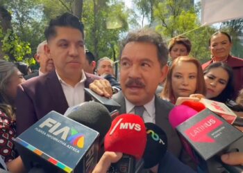 Senador Ignacio Mier, coordinador senadores de Morena