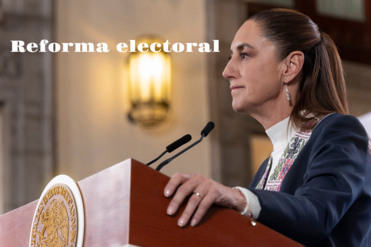 Reforma electoral, terminó de “salir el peine” (Opinión)