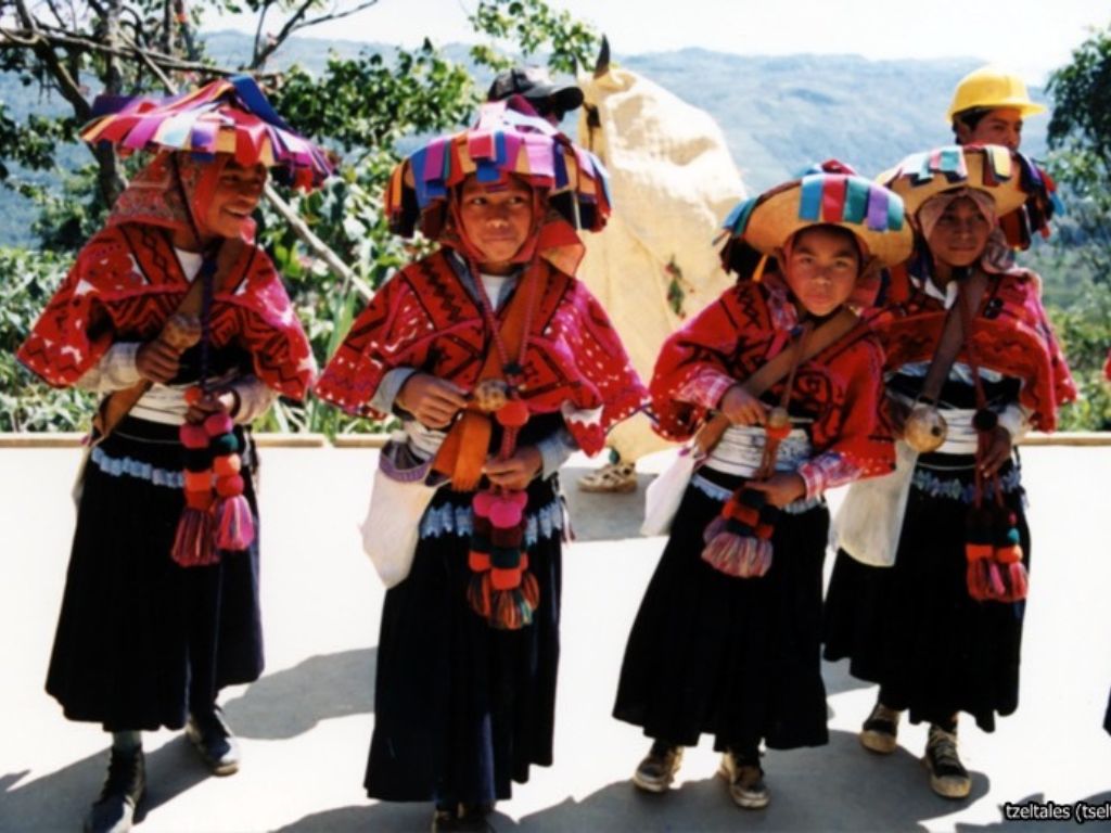 leyes claras para reconocer a los gobiernos comunitarios indígenas