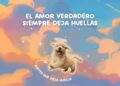 El amor más fiel también se celebra: el vínculo eterno entre humanos y sus mascotas
