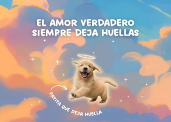 El amor más fiel también se celebra: el vínculo eterno entre humanos y sus mascotas