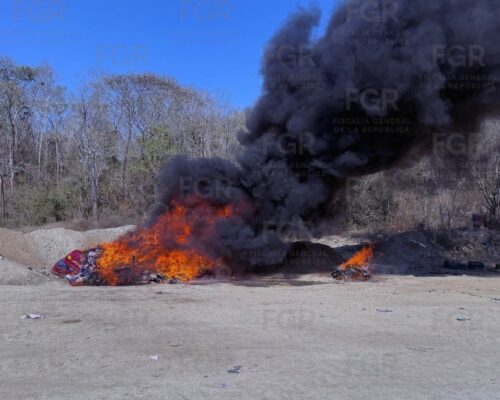 La Fiscalía Federal en el estado de Oaxaca realiza la incineración bajo la supervisión del personal del Órgano Interno de Control, quien comprobó la cantidad y peso de los narcóticos y acreditó la legalidad de este hecho