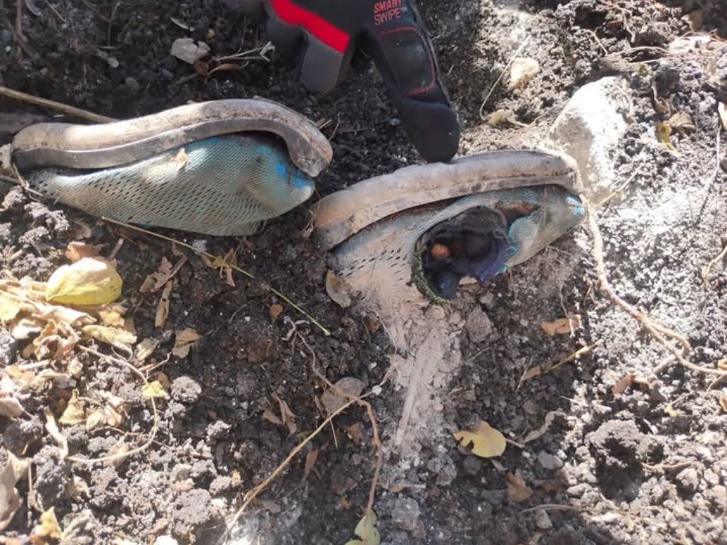 realizan búsqueda en el cerro de la Cruz de Jacona