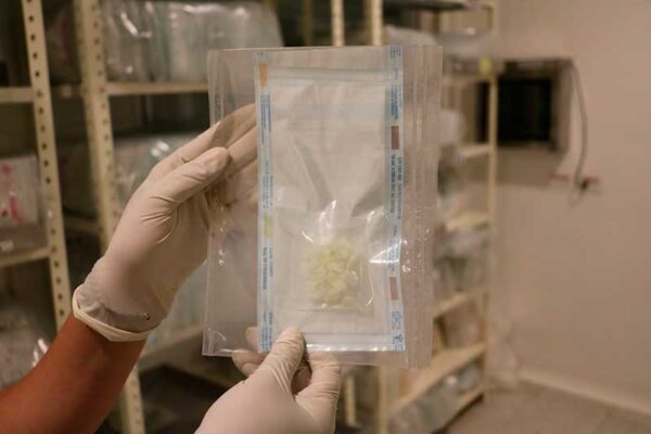 Acceso gratuito y equitativo