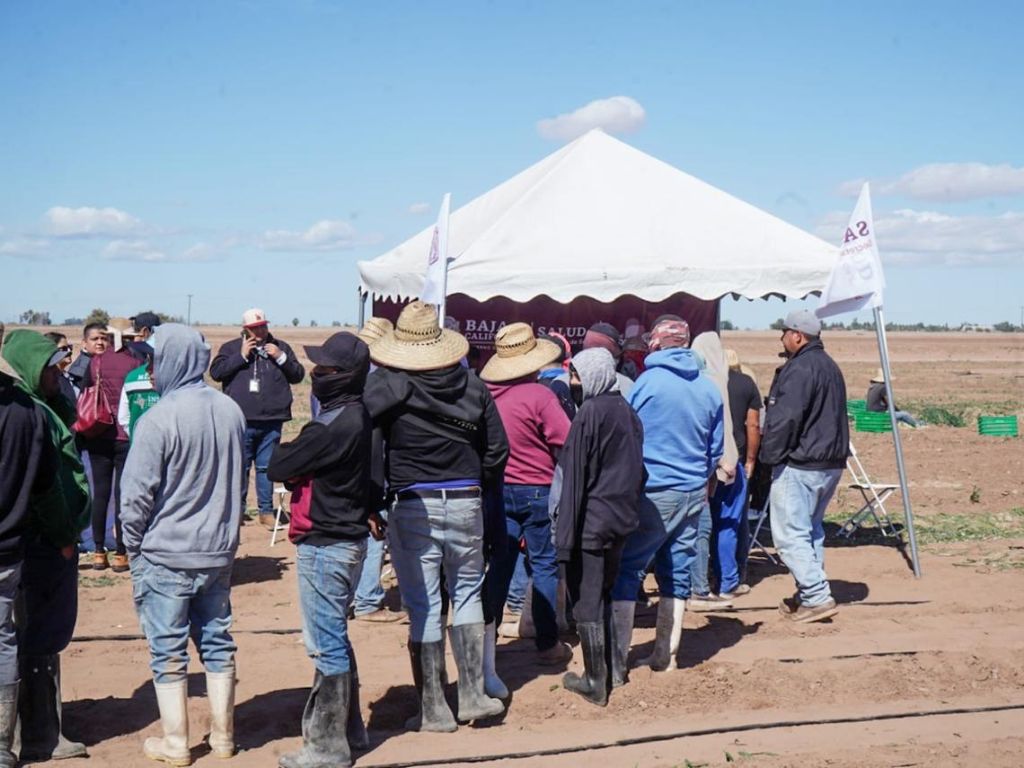vacunación de sarampión en campos agrícolas de Baja California