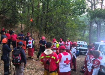 Cada falsa alerta significa un derroche de recursos movilizados.