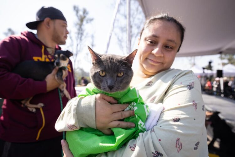 Estas son las 10 acciones del gobierno de la CDMX para el bienestar animal