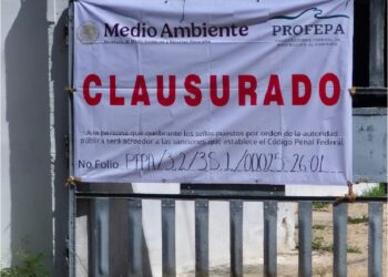 Breves de los Estados del 11 de marzo