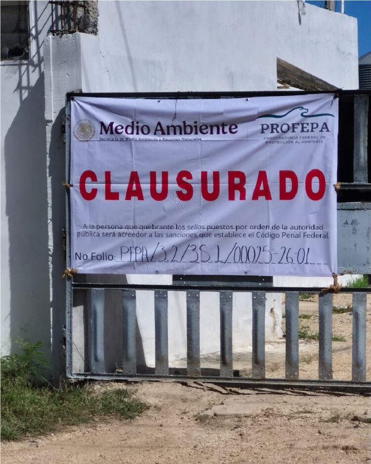 Breves de los Estados del 11 de marzo