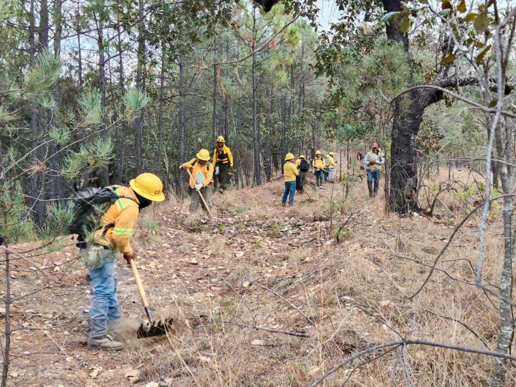 Con Ejército y Guardia Nacional, ingresan brigadas contra fuego a combatir 6 incendios forestales activos