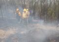 Con Ejército y Guardia Nacional, ingresan brigadas contra fuego a combatir 6 incendios forestales activos