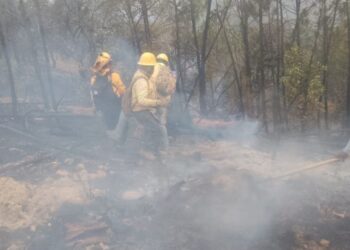 Con Ejército y Guardia Nacional, ingresan brigadas contra fuego a combatir 6 incendios forestales activos