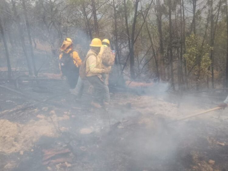Con Ejército y Guardia Nacional, ingresan brigadas contra fuego a combatir 6 incendios forestales activos