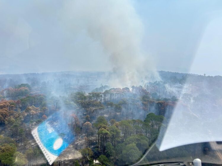 Controlan 90% del incendio forestal en Área Natural Protegida en Tzitzio, Michoacán