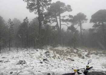 Se registra la cuarta nevada en el Cofre de Perote, en Veracruz